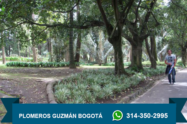 Servicio De Geófono en Chico Bogotá